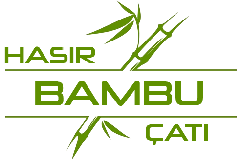 Logo1
